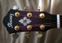 The Parts of the Guitar the headstock with golden tuners